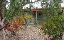 Lightning Ridge Outback Resort And Caravan Park - Lightning Ridge - Local Tourism 3