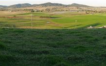 Leconfield House - Leconfield - Accommodation Australia 0