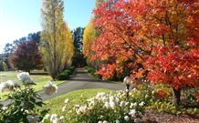 Melview Greens Apartments - Orange - Local Tourism 7