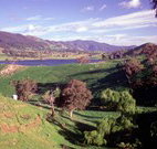Motel Royal Tara - Binalong - Accommodation Australia
