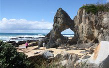 Narooma YHA - Narooma - Accommodation Australia 5