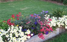 Narromine Tourist Park And Motel - Narromine - Accommodation Australia 1