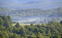 Nowendoc NSW Local Tourism