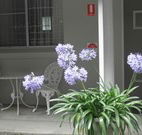 Pine Lodge Motel - Woolgoolga - Accommodation Australia