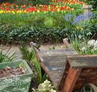 The Carrington Inn - Accommodation Australia