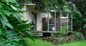 Mt Warning Rainforest Park - Local Tourism 6