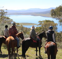 Reynella Homestead and Horseback Rides - Accommodation Australia