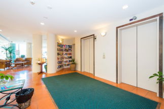 The Emerald Surfers Paradise - Australia Shopping 1