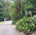 Tamborine Mountain Caravan  Camping - Accommodation Australia