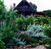 Country Charm Swiss Cottages - Local Tourism