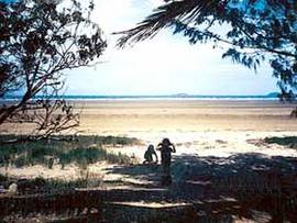 Midge Point QLD Accommodation Australia