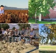 Southern Cross Motor Inn - Accommodation Australia