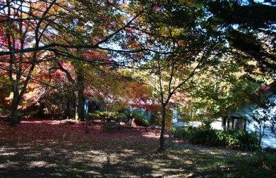 Kubba Roonga Blackheath - Accommodation Australia 4