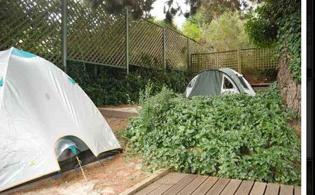 The Flying Fox Backpackers - Local Tourism 2