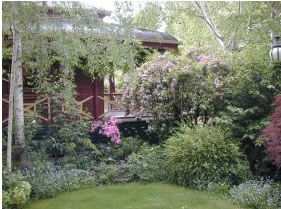 FINCHES OF BEECHWORTH - Local Tourism 1