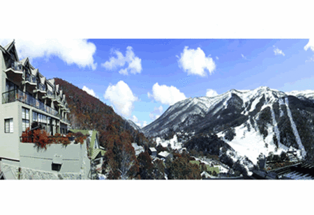 The Lantern Apartments - Local Tourism
