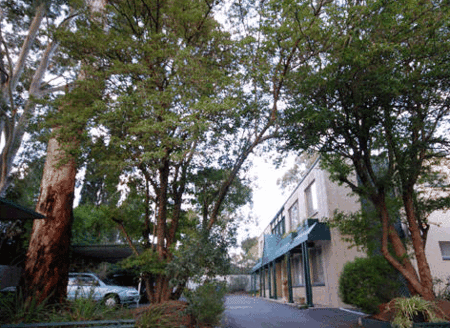 Adelaide Oakford Apartments - Local Tourism