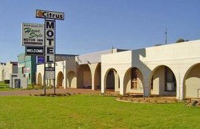 Citrus Motel - Accommodation Australia 0