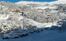 The Lions Lair Lodge - Local Tourism 0