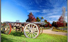 The Oaks Ranch And Country Club - Mossy Point - Accommodation Australia 0