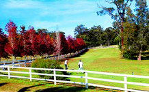 The Oaks Ranch And Country Club - Mossy Point - Accommodation Australia 1