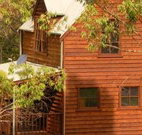 Barrington Tops Organic Retreat - Accommodation Australia