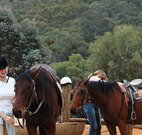 Clark Bay Cottages - Accommodation Australia