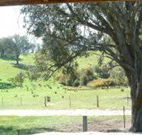 Hosanna Farm Retreat - Local Tourism