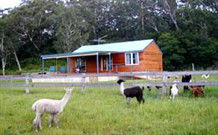Moorallie Cottage Farm Stay - Local Tourism 0