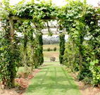 All Saints Bed and Breakfast - Accommodation Australia