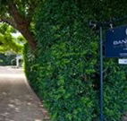 Bangalow Guesthouse