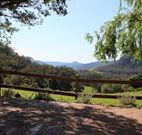 Cedar Grove - - Accommodation Australia