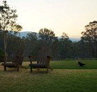 Elfin Hill - Australia Shopping