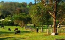 Morans Crossing NSW Local Tourism