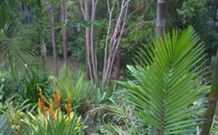 Old Convent River Retreat - Local Tourism 1