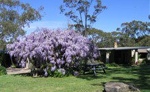 Studio Cottages - Australia Shopping 0