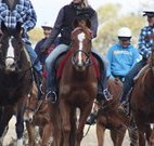 Jemby Rinjah Eco Lodge - Accommodation Australia