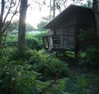 Mount Seaview Resort - Local Tourism