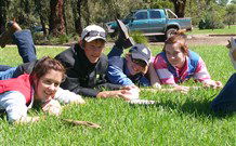 Murwillumbah  YHA Mount Warning - Local Tourism 2