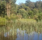 Fosterton Lodge Retreat - Accommodation Australia