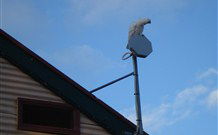 Hat Head Holiday House - Accommodation Australia 6