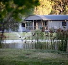 Mt Clunie Cabins - Accommodation Australia