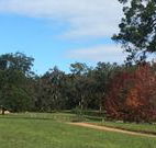 Mulberry Cottage - Accommodation Australia