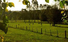 Stone Cottage Mittagong - Local Tourism 0