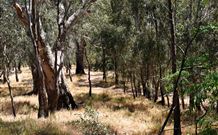 Wagon Wheel Motel And Units - Accommodation Australia 6