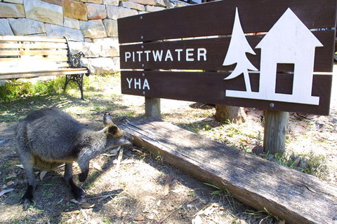 Sydney - Pittwater YHA - Australia Shopping 9
