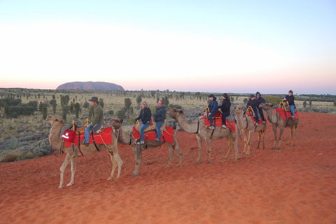 Ayers Rock - Outback Pioneer Lodge - Accommodation Australia 1