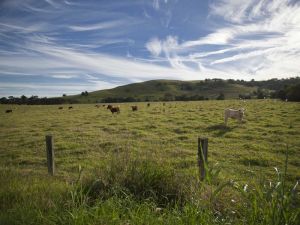 Goolmangar NSW Australia Shopping