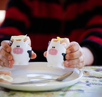 Cosy Cow Farmstay Bed and Breakfast - Accommodation Australia