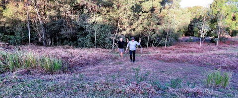 Noosa Avalon Farm Cottages - Local Tourism 9